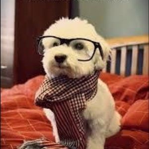 Meet your Posher, Debra